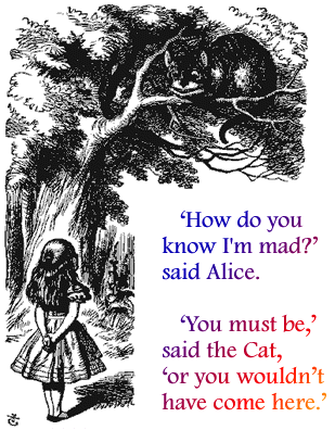 alice-and-the-cat.gif
